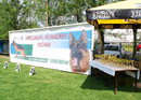 Németjuhász kutyakiállítás volt Szenttamáson, 2014. május 11.